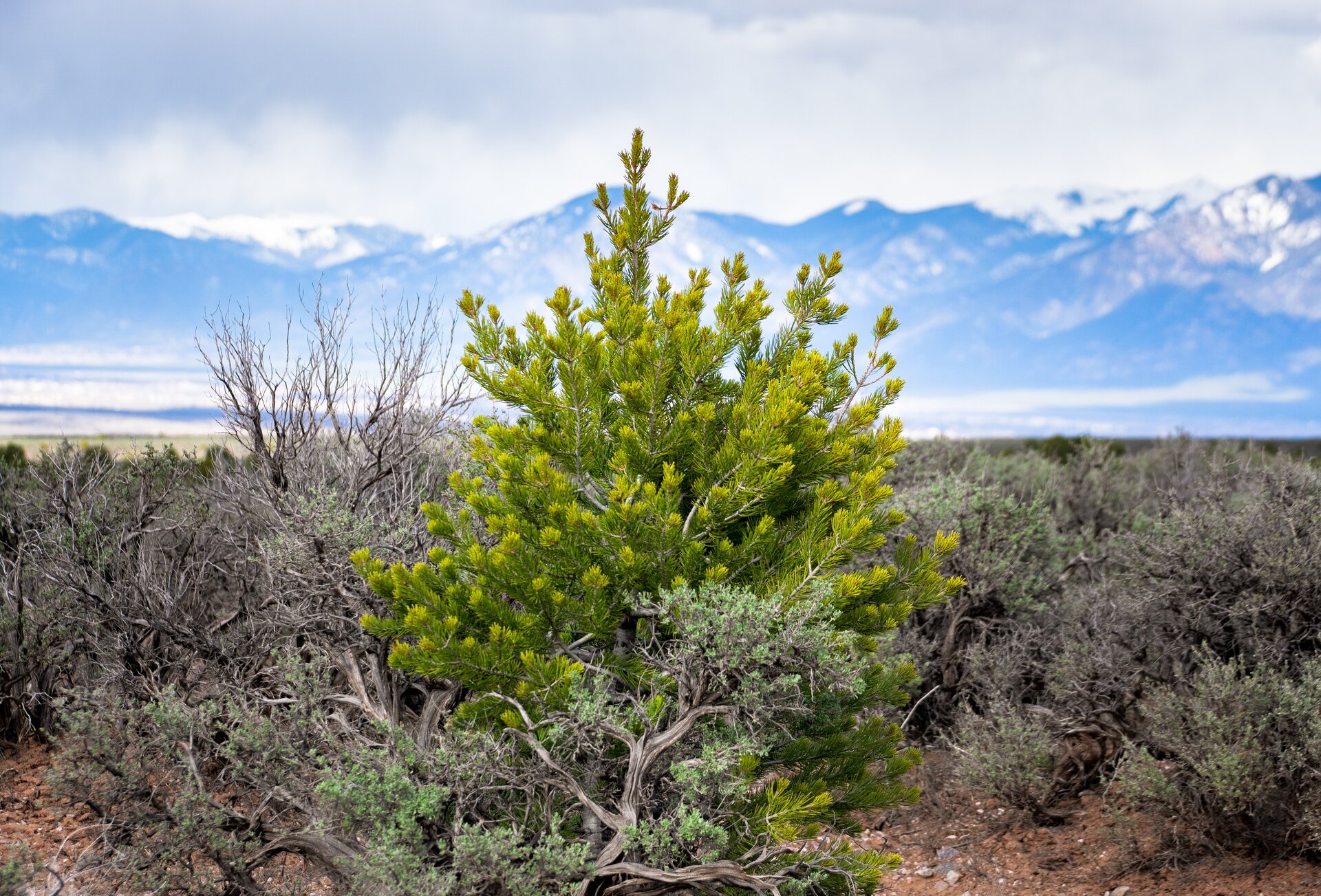 Taos, New Mexico